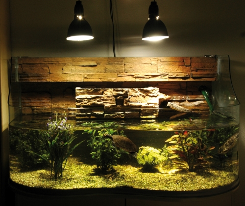 Bright Sun TURTLE 100 Watt
