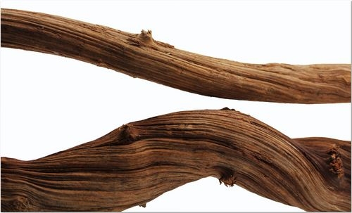 Jungle Liana 70-80cm Medium (4-5cm)