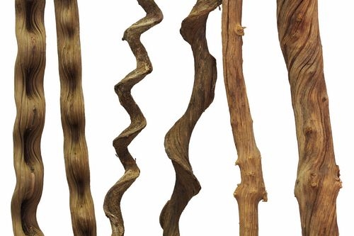 Jungle Liana 70-80cm Medium (4-5cm)