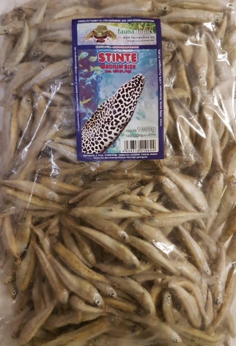 Stinte, gefroren, 1 kg, lose im Beutel- Einzelfuttermittel