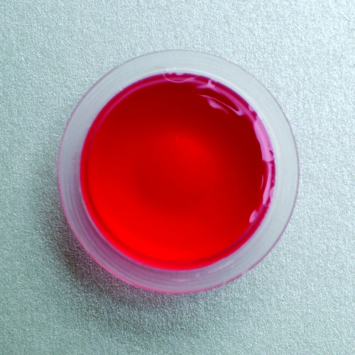 Jelly Food - Red Strawberry 20 Pack