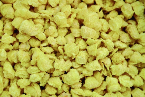 Bartagamen-Trockenfutter für Jungtiere von Dragon 100g