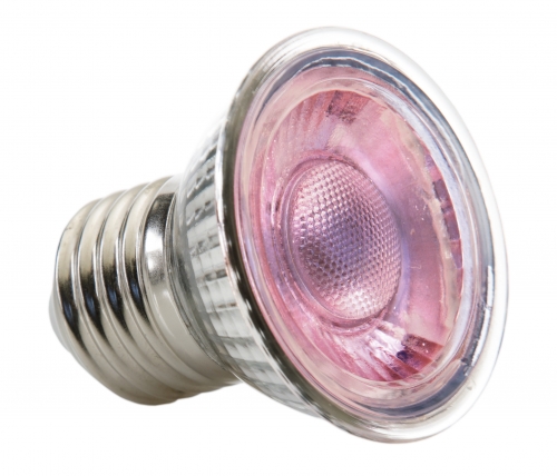 Daylight LED Spot NANO 5W
