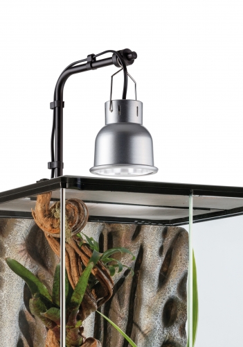 Reptile Dome NANO mit Klammer