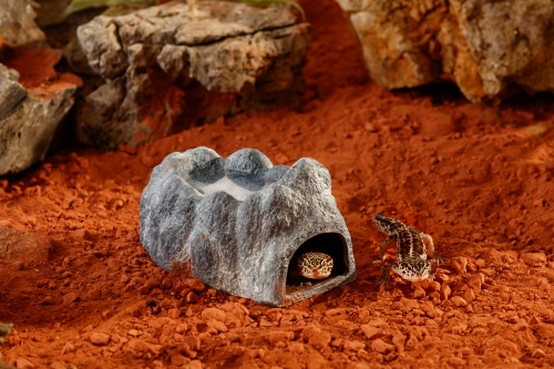 Wet Rock mittel 16x10x6,5cm (LxBxH)