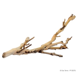 Forest Branch Large 60 cm