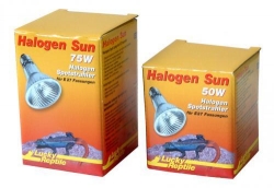 Halogen Sun 100W für E27 Fassungen