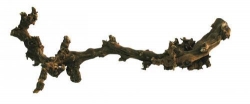 Rebholz dunkel XL ca. 60-90 cm