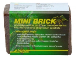 Mini Brick ergibt ca. 2l Terrarienhumus