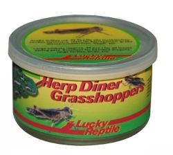 Herp Diner Grasshoppers mittel ca. 50 mittelgroße Heuschrecken 35 gr.
