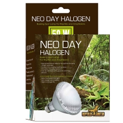 Neo Day Halogen 50W