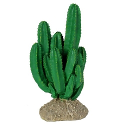 Ironwood Cactus (7x7x17cm)LxBxH