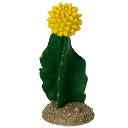 Golden Gilia Cactus (7x7x15.5cm)LxBxH