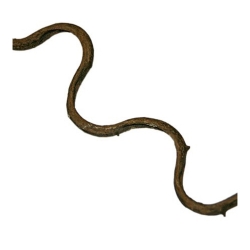 Curly Vine Small  (Durchm. 1,5-3 cm) 90-100 cm