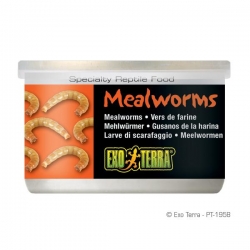 Mealworms Mehlwürmer 34 gr. Dosenfutter