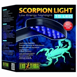 Scorpion Light