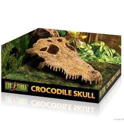 Crocodile Skull Versteckhöhle